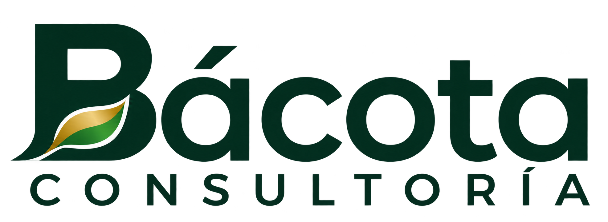 Bácota consultoría
